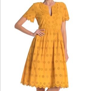 Madewell Eyelet Cotton Sz8 Dress golden yellow 🌻
